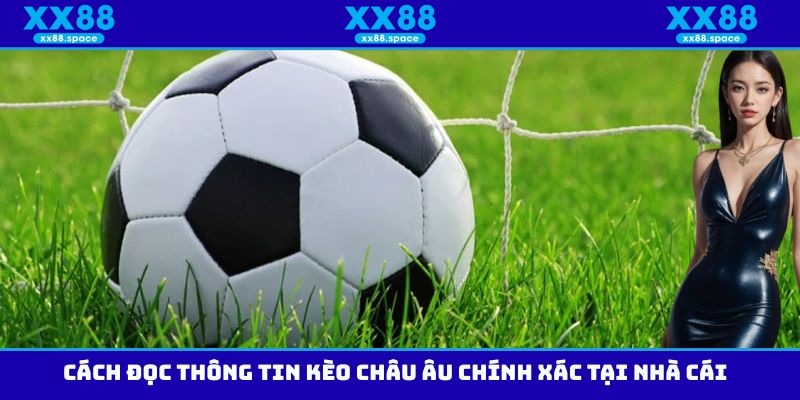Cách đọc thông tin kèo Châu Âu chính xác tại nhà cái